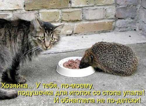 ���� 14: �����������: ����� �...