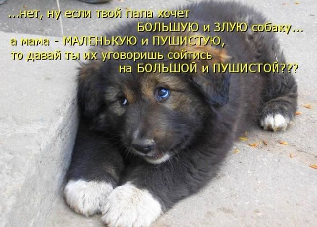 ���� 1: ����� �������������: � ����� ������������ 2018 ����!!!