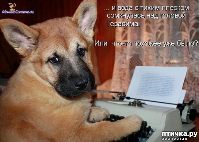 ���� 2: ����� �������������: � ����� ������������ 2018 ����!!!