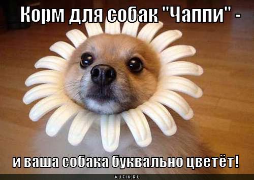 ���� 4: ����� �������������: � ����� ������������ 2018 ����!!!