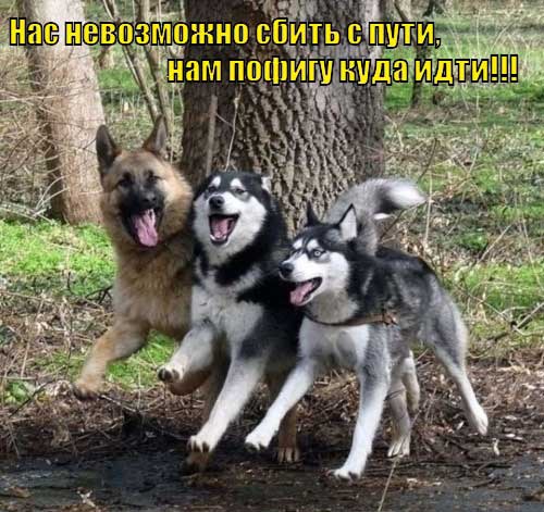 ���� 5: ����� �������������: � ����� ������������ 2018 ����!!!