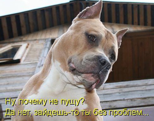 ���� 6: ����� �������������: � ����� ������������ 2018 ����!!!