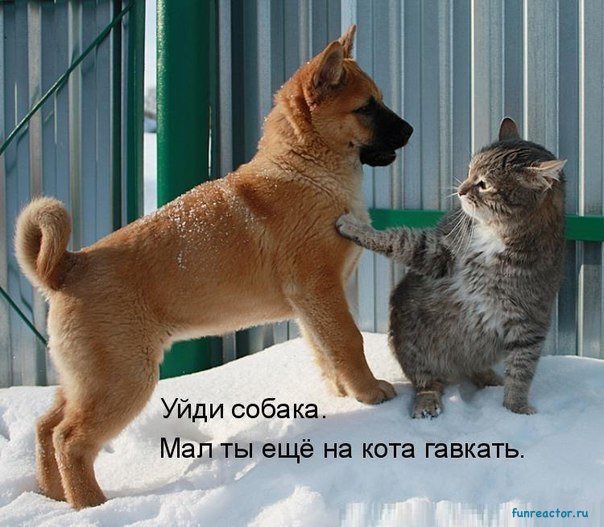 ���� 7: ����� �������������: � ����� ������������ 2018 ����!!!