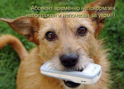 ���� 9: ����� �������������: � ����� ������������ 2018 ����!!!