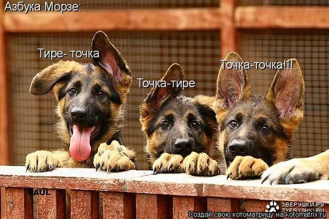 ���� 10: ����� �������������: � ����� ������������ 2018 ����!!!