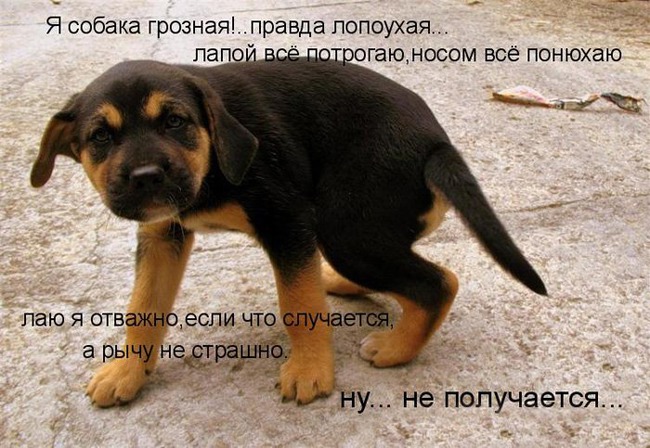 ���� 13: ����� �������������: � ����� ������������ 2018 ����!!!