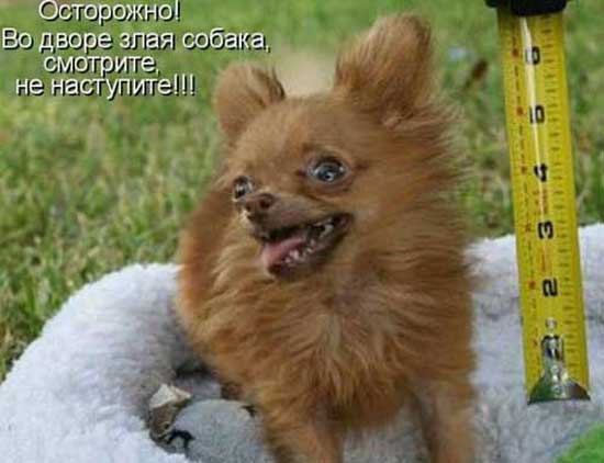 ���� 15: ����� �������������: � ����� ������������ 2018 ����!!!