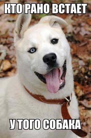 ����: ����� �������������: � ����� ������������ 2018 ����!!!