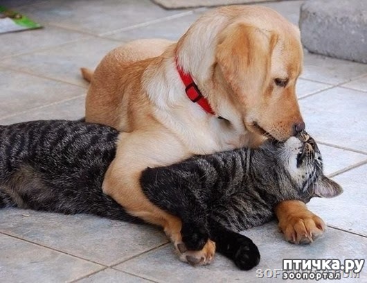 ���� 7: ��� ����������� � �������� ����