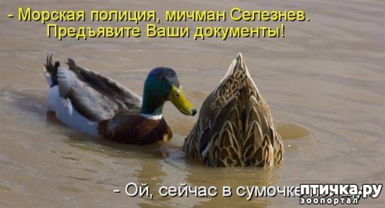 ���� 3: ������ ����� �� ����