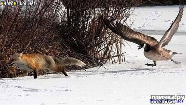 ���� 4: ������ ����� �� ����