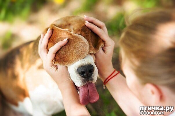 ���� 1: ���������, ���������))