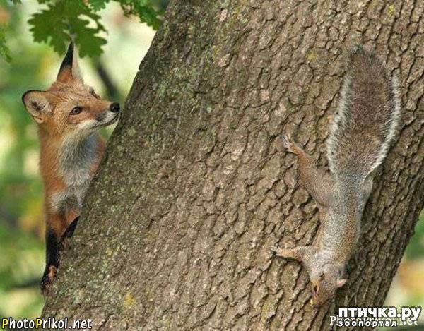 ���� 6: ������ ����� �� ����