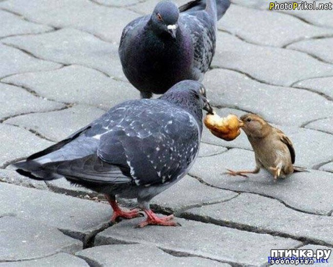 ���� 7: ������ ����� �� ����