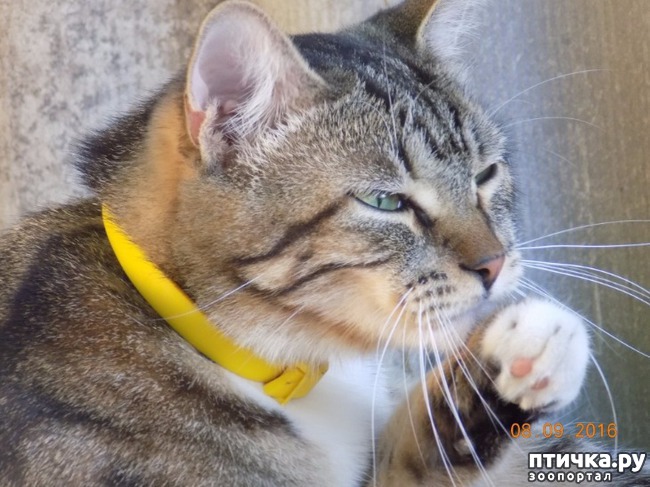 ���� 2: � �� ���� ����������...