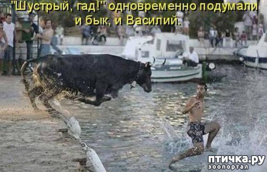 ���� 8: ������ ����� �� ����