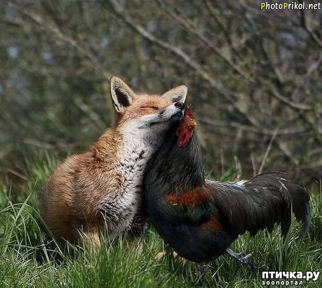 ���� 9: ������ ����� �� ����