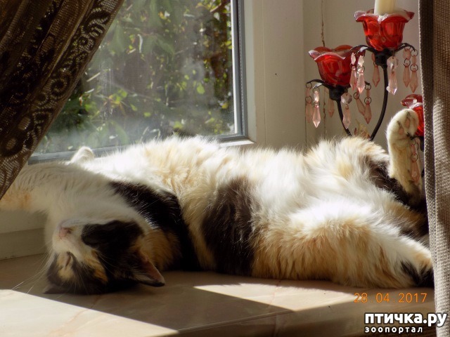 ���� 1: � �� ���� ����������...