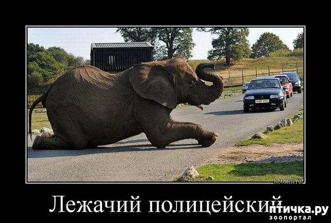 ���� 10: ������ ����� �� ����