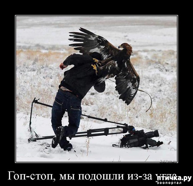 ���� 11: ������ ����� �� ����