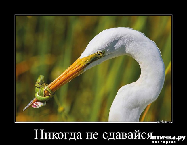 ���� 12: ������ ����� �� ����