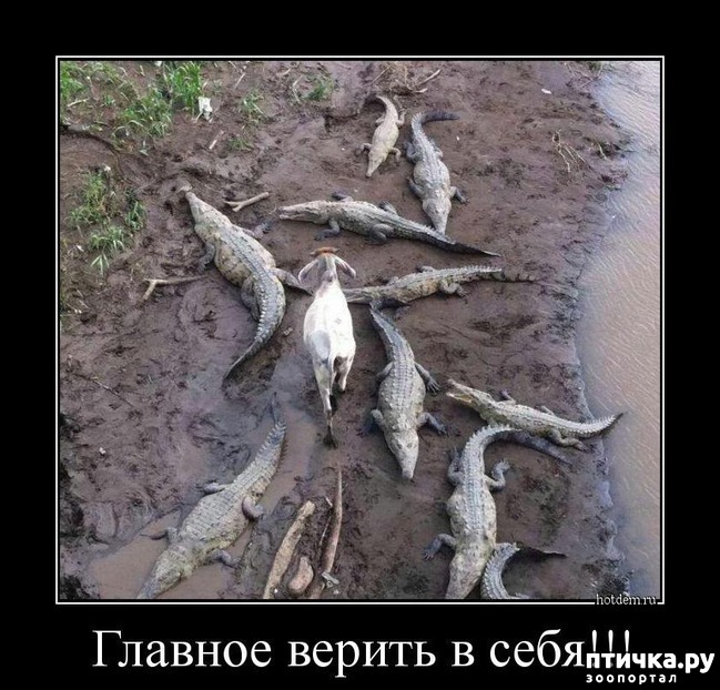 ���� 13: ������ ����� �� ����