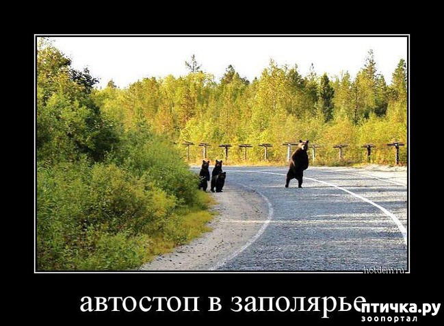 ���� 14: ������ ����� �� ����