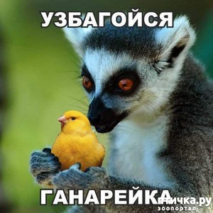 фотография: Общая матрица: Ну что, посмеемся перед началом рабочей недели! фото: Общая матрица: Ну что, посмеемся перед началом рабочей недели!