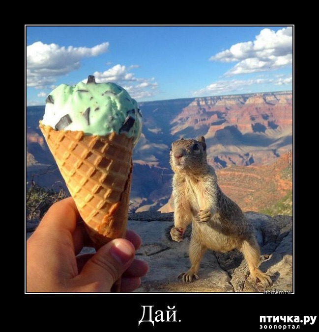 ���� 15: ������ ����� �� ����