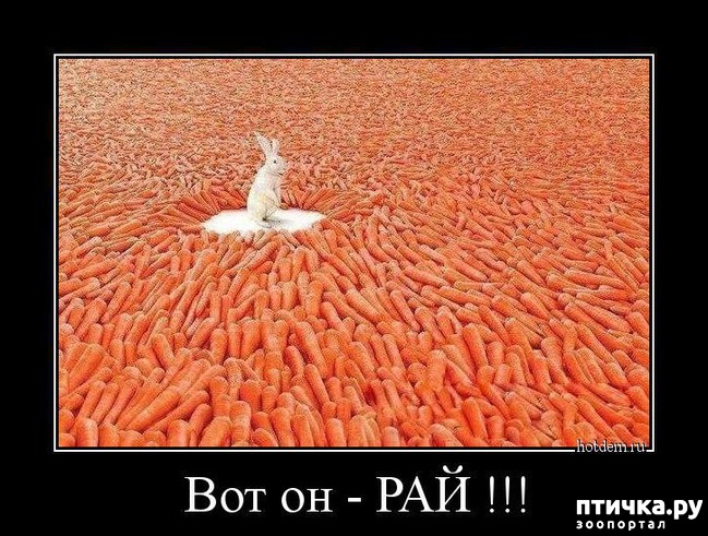 ���� 16: ������ ����� �� ����