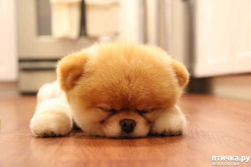 ���� 4: ��� ������ ����� ����������