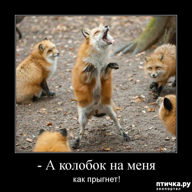 ���� 17: ������ ����� �� ����