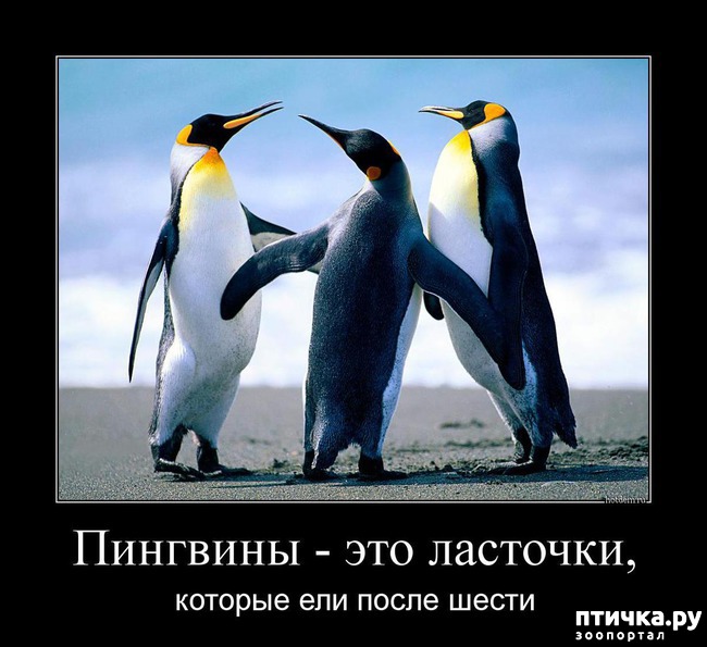 ���� 18: ������ ����� �� ����