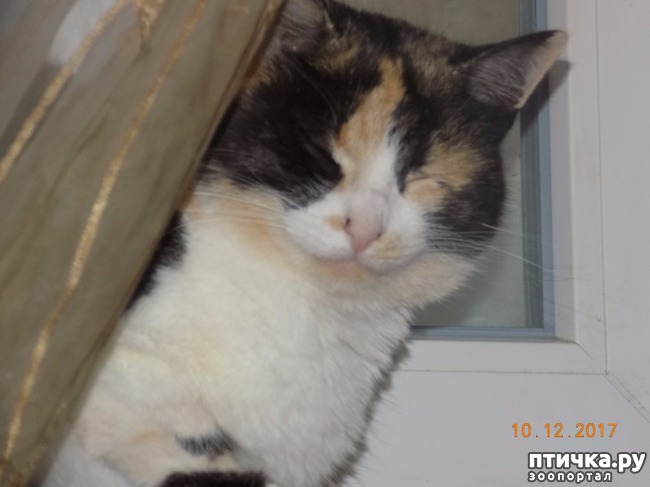 ���� 3: � �� ���� ����������...