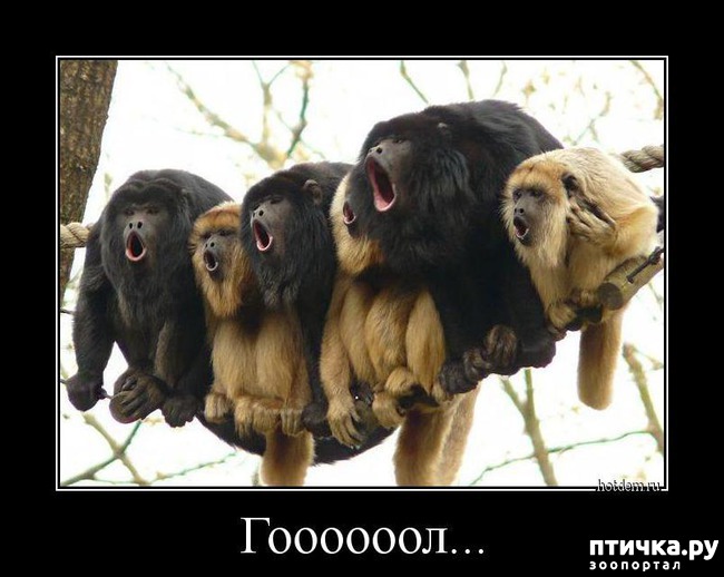 ���� 19: ������ ����� �� ����