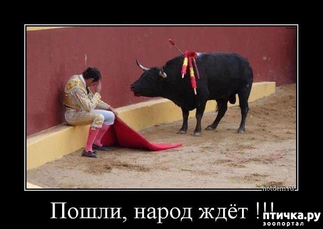 ���� 20: ������ ����� �� ����