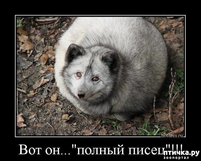 ���� 21: ������ ����� �� ����