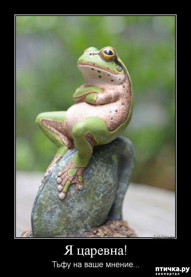 ���� 22: ������ ����� �� ����