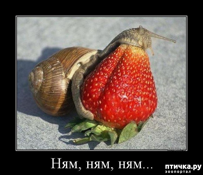 ���� 23: ������ ����� �� ����