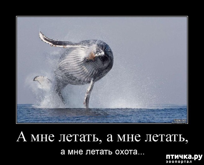 ���� 24: ������ ����� �� ����