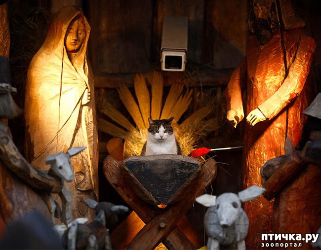 ���� 1: ��������� � �����