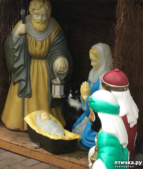 ���� 3: ��������� � �����