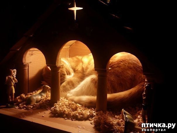 ���� 4: ��������� � �����