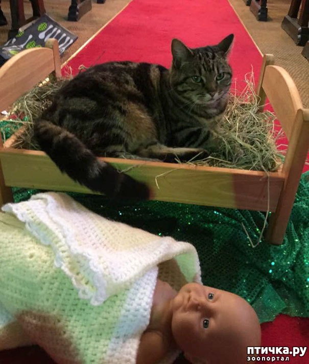 ���� 5: ��������� � �����