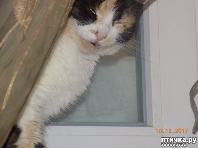 ���� 4: � �� ���� ����������...