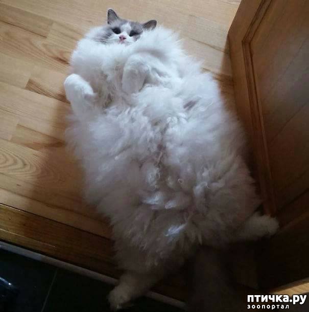 ���� 2: ��� �� ����� ���� ������?