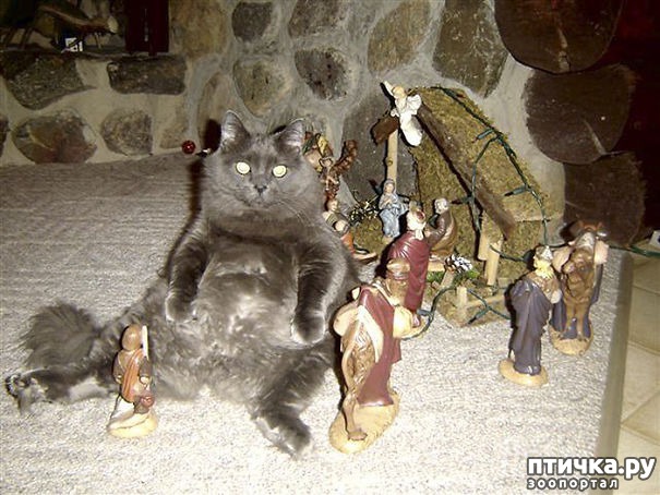 ���� 9: ��������� � �����