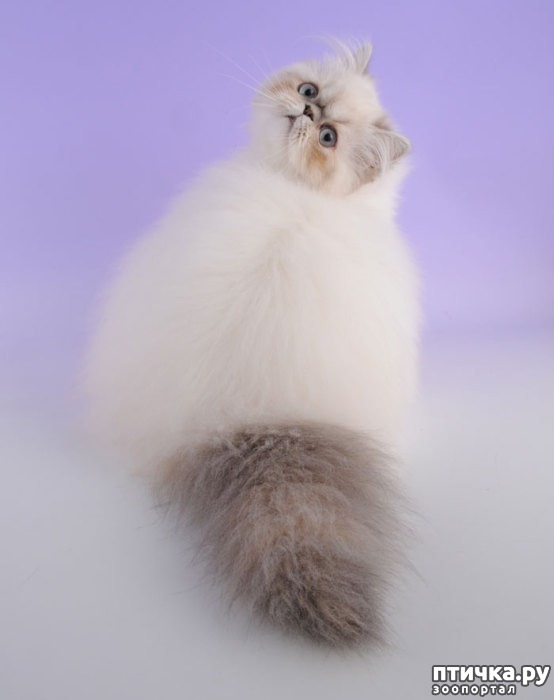 ���� 4: ��� �� ����� ���� ������?