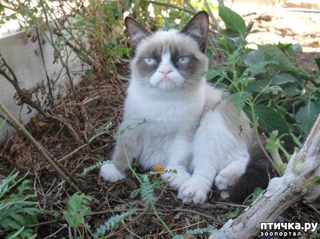 ���� 1: ������ �������� ��� ��� ��������?