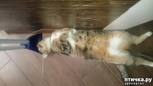 ���� 5: � �� ���� ����������...